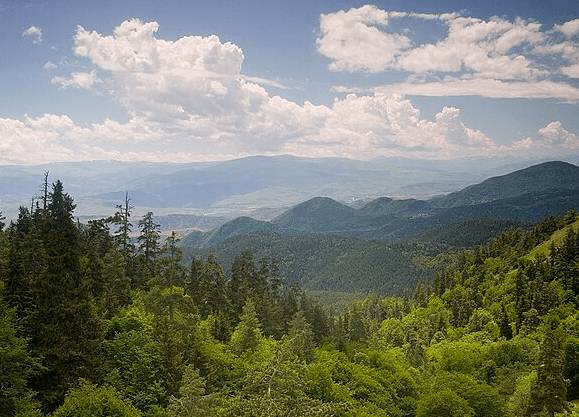 Borjomi-Kharagauli National Park 